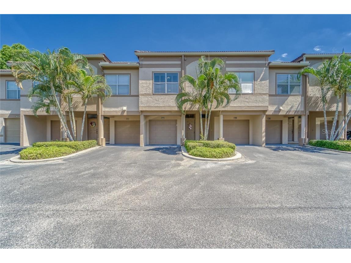 1040 Normandy Trace Road Tampa FL 33602 T3364418 image1