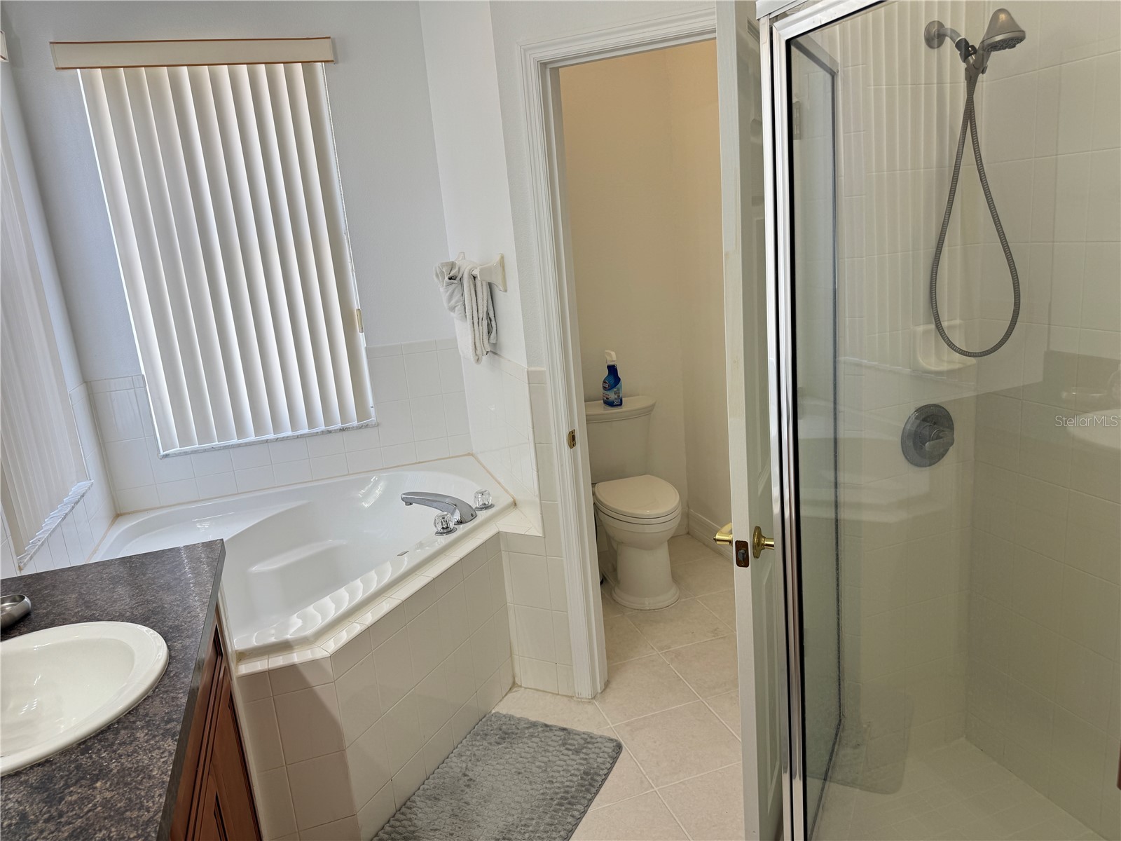 1040 Orista Drive Davenport FL 33897 S5148638 image10