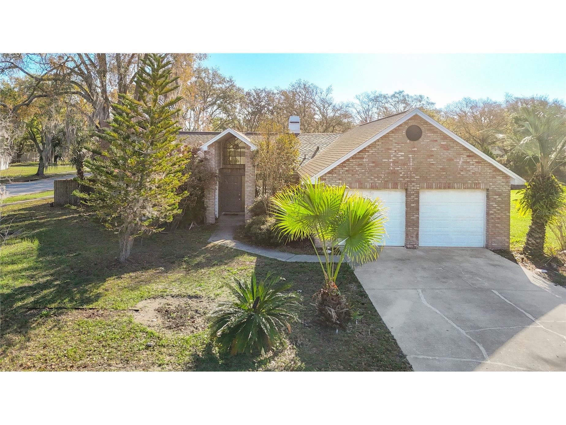 1040 Sawyers Court Lutz FL 33559 TB8486103 image1
