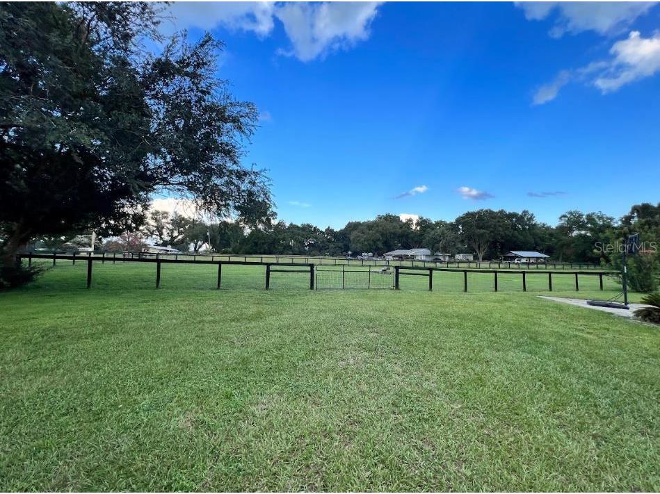 1040 SE 162nd Place Summerfield FL 34491 OM720972 image34