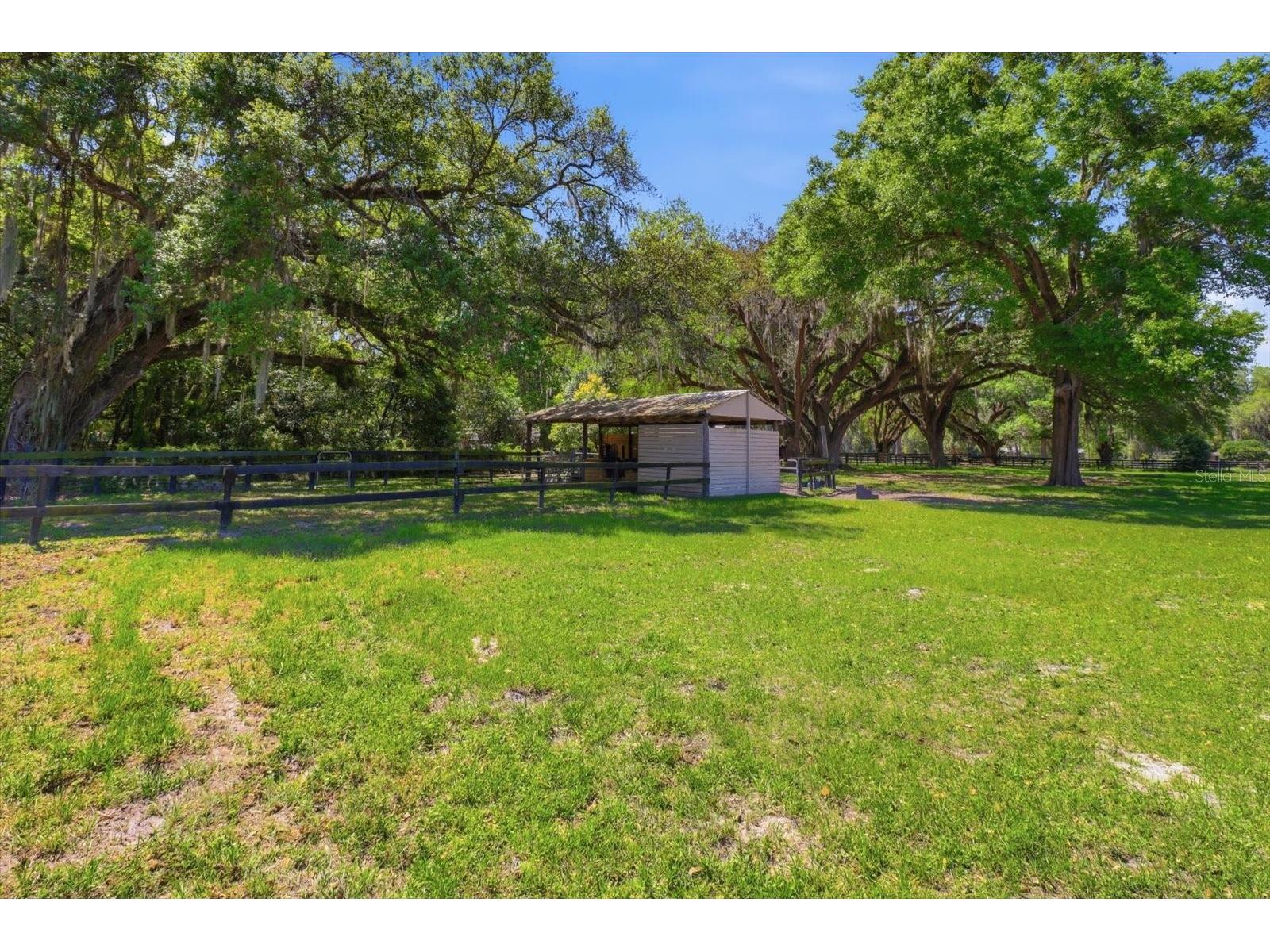 1040 SE 162nd Place Summerfield FL 34491 OM720972 image35