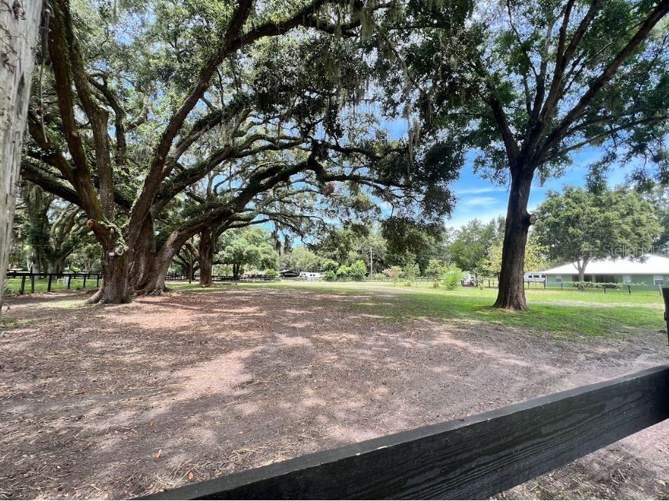 1040 SE 162nd Place Summerfield FL 34491 OM720972 image41