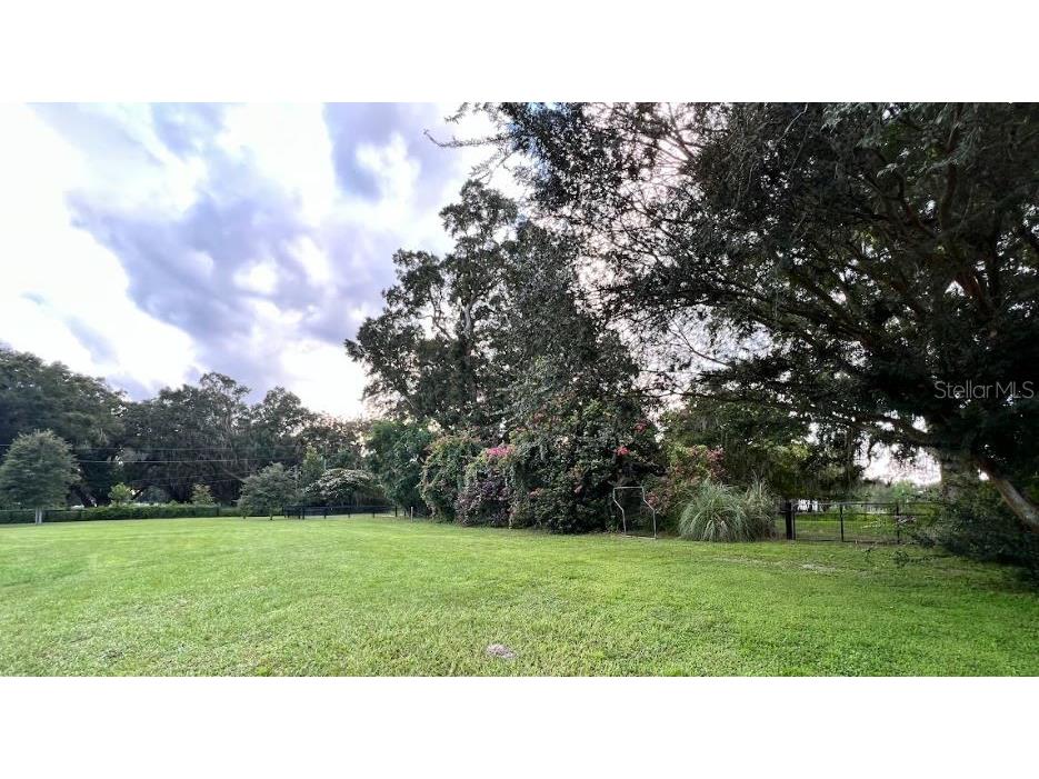 1040 SE 162nd Place Summerfield FL 34491 OM720972 image42
