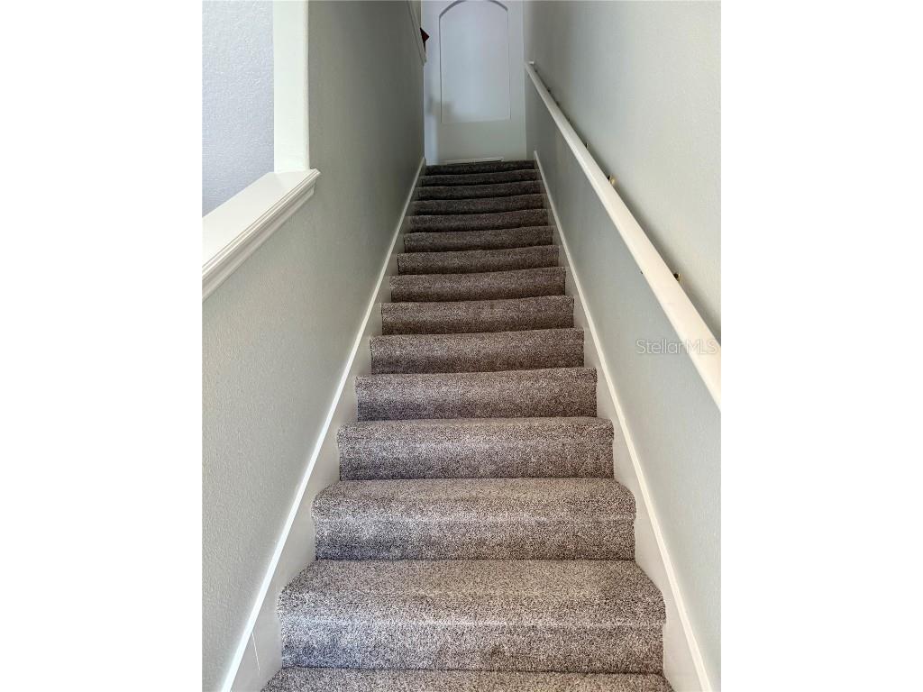 1040 Sleepy Oak Drive Wesley Chapel FL 33543 TB8447705 image21