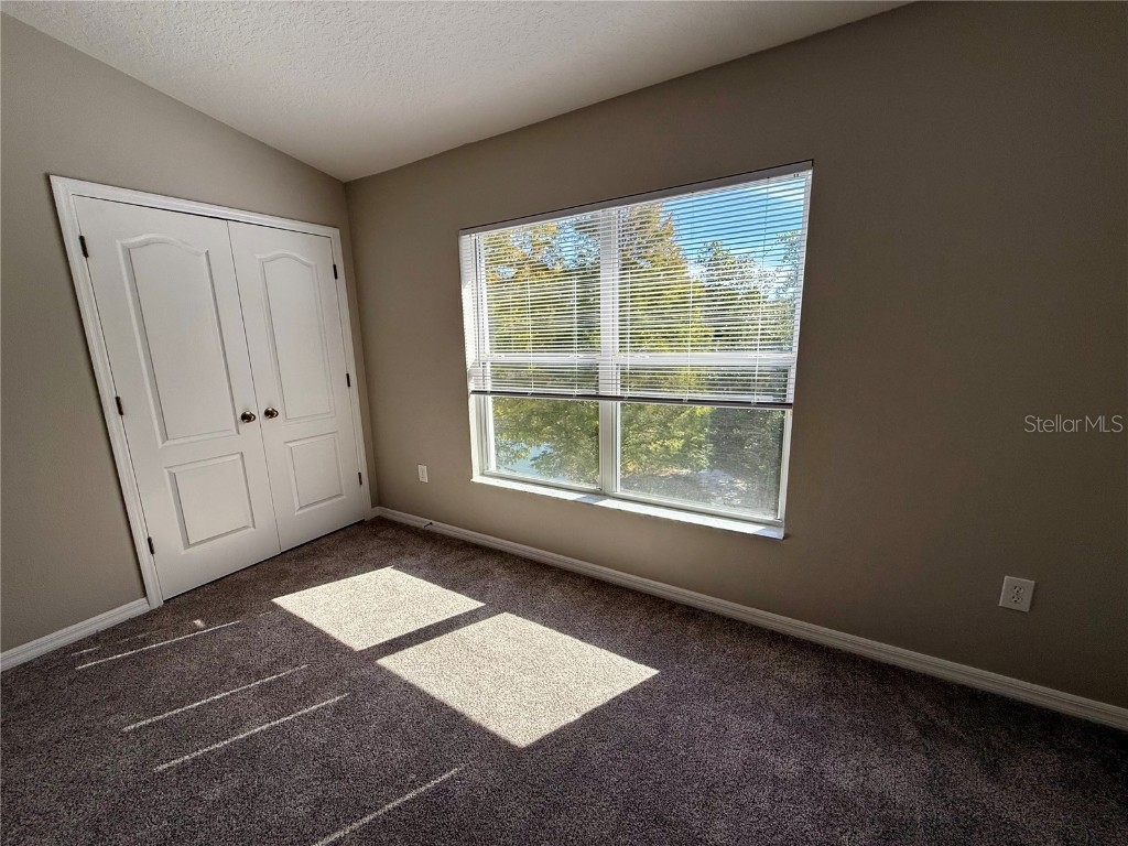 1040 Sleepy Oak Drive Wesley Chapel FL 33543 TB8447705 image29