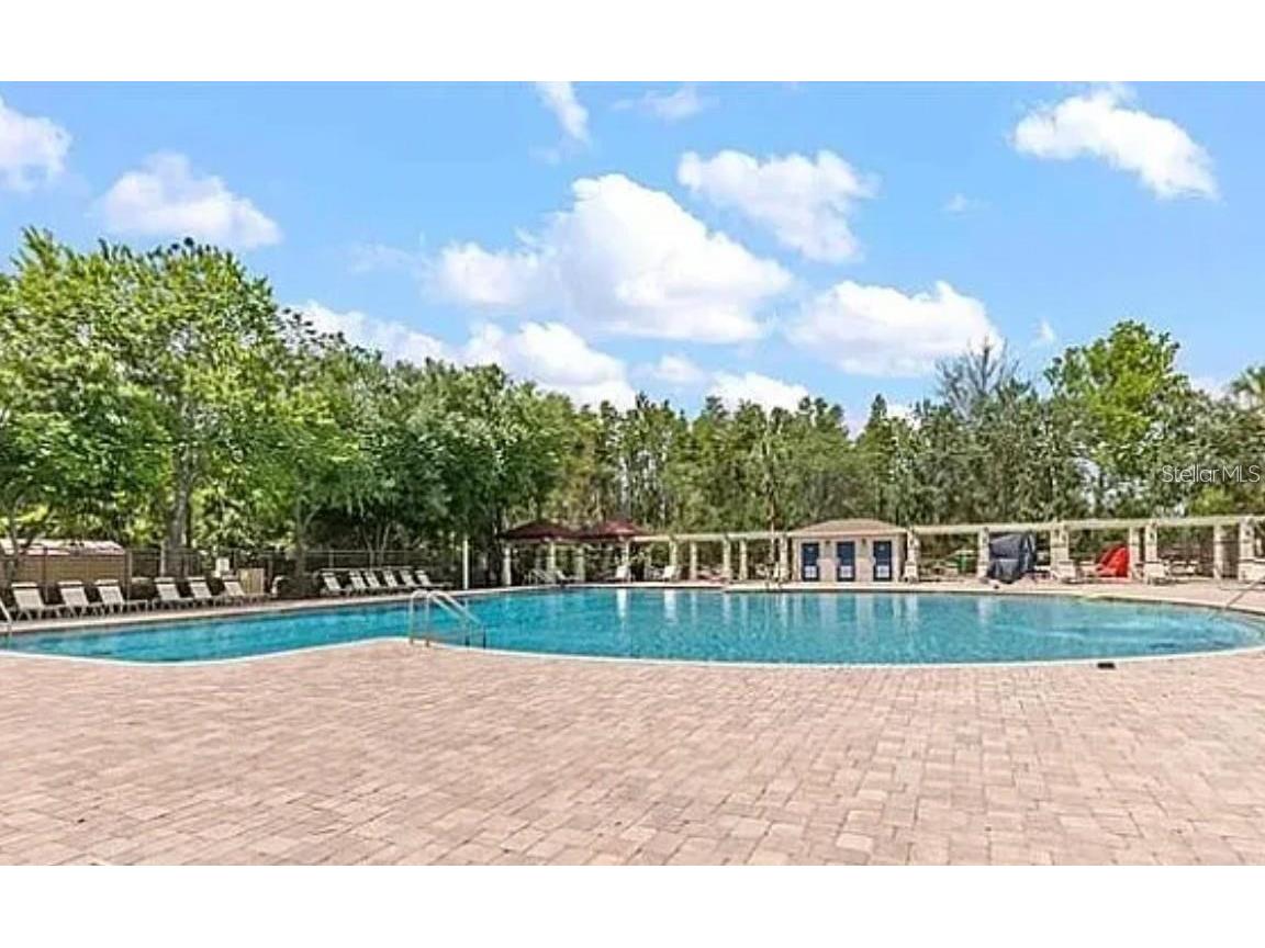 1040 Sleepy Oak Drive Wesley Chapel FL 33543 TB8447705 image6