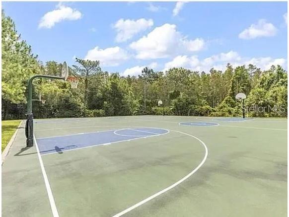 1040 Sleepy Oak Drive Wesley Chapel FL 33543 TB8447705 image8