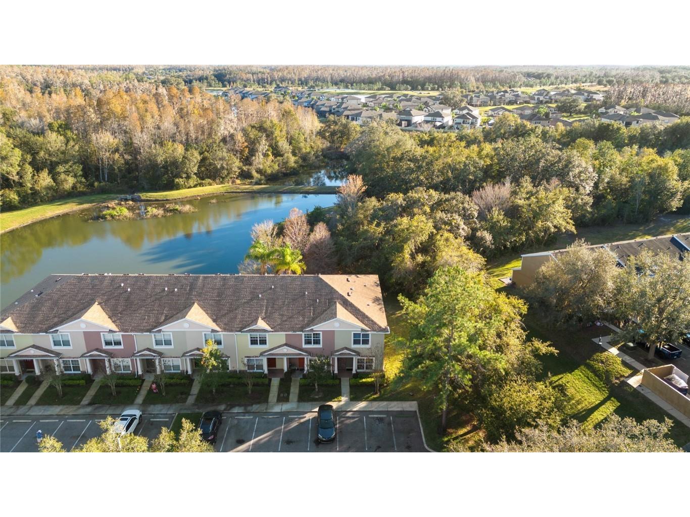 1040 Sleepy Oak Drive Wesley Chapel FL 33543 TB8459692 image11