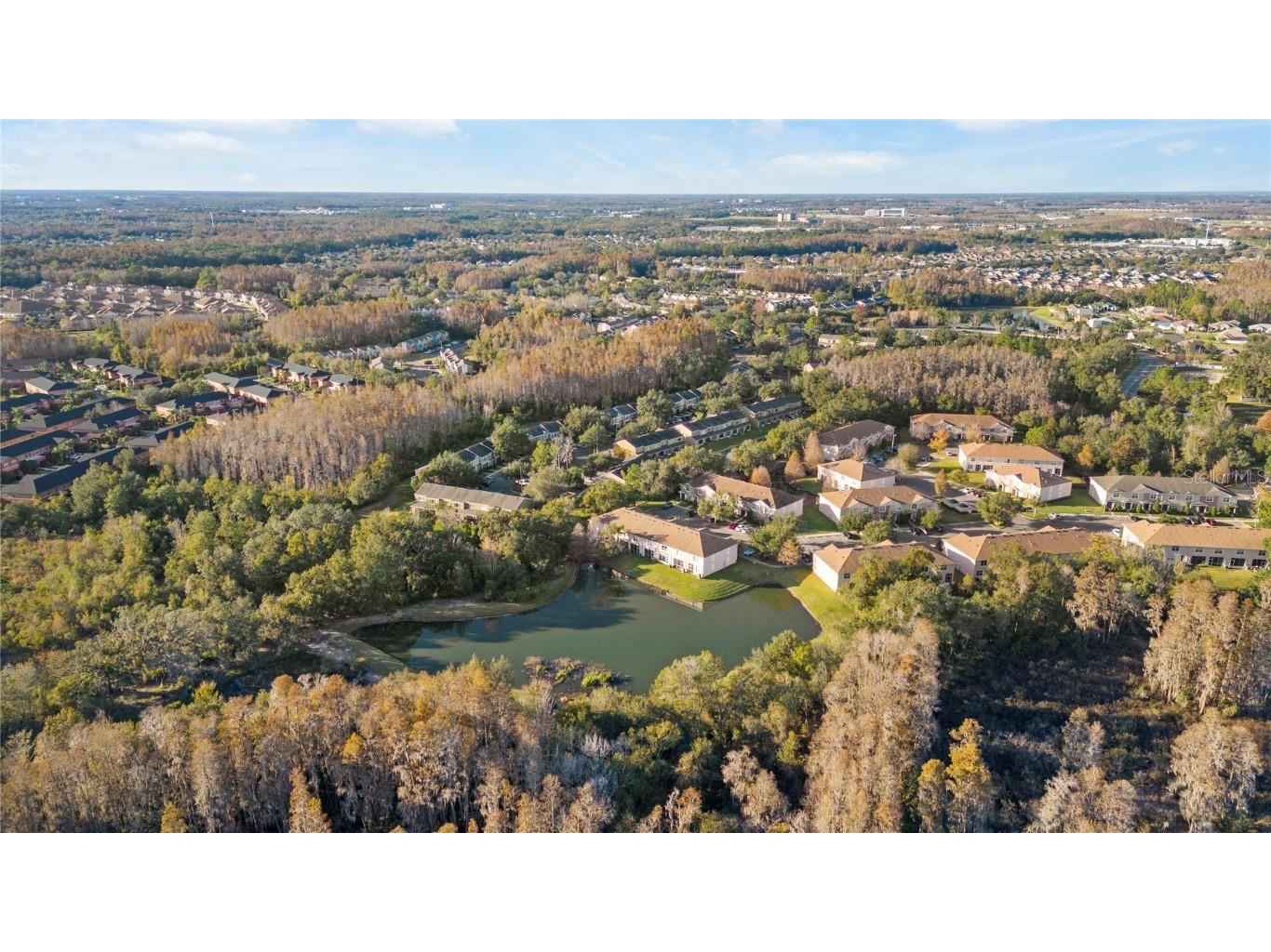 1040 Sleepy Oak Drive Wesley Chapel FL 33543 TB8459692 image40