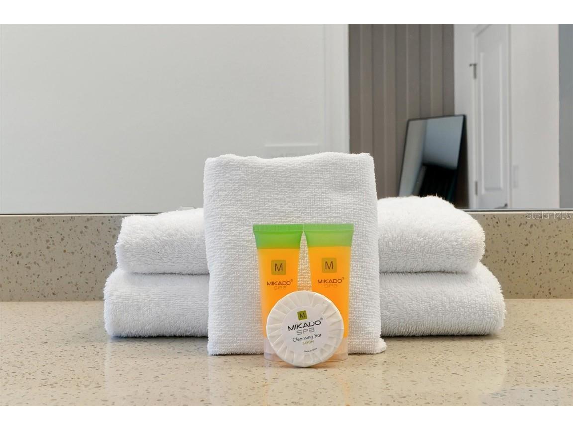 10400 Ebb Tide Lane Orlando FL 32821 O6343873 image32