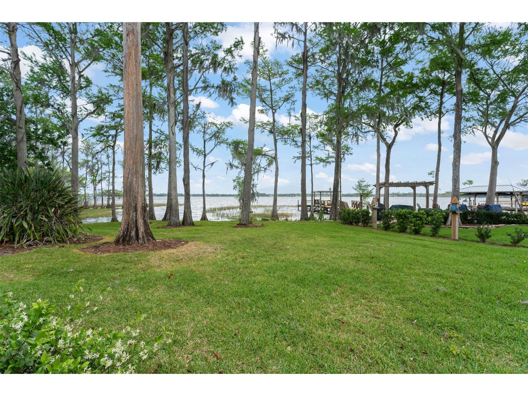 10400 Lake Cottage Lane Orlando FL 32836 - LAKE SHEEN BUTLER CHAIN O6396743 image62