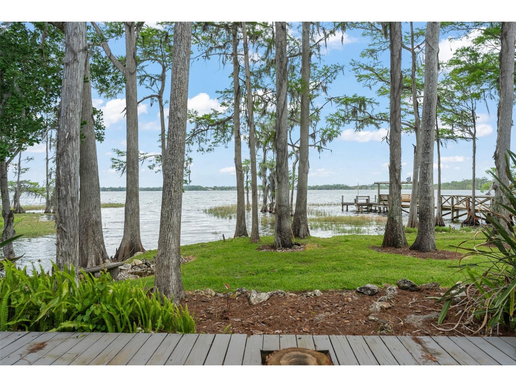 10400 Lake Cottage Lane Orlando FL 32836 - LAKE SHEEN BUTLER CHAIN O6396743 image65
