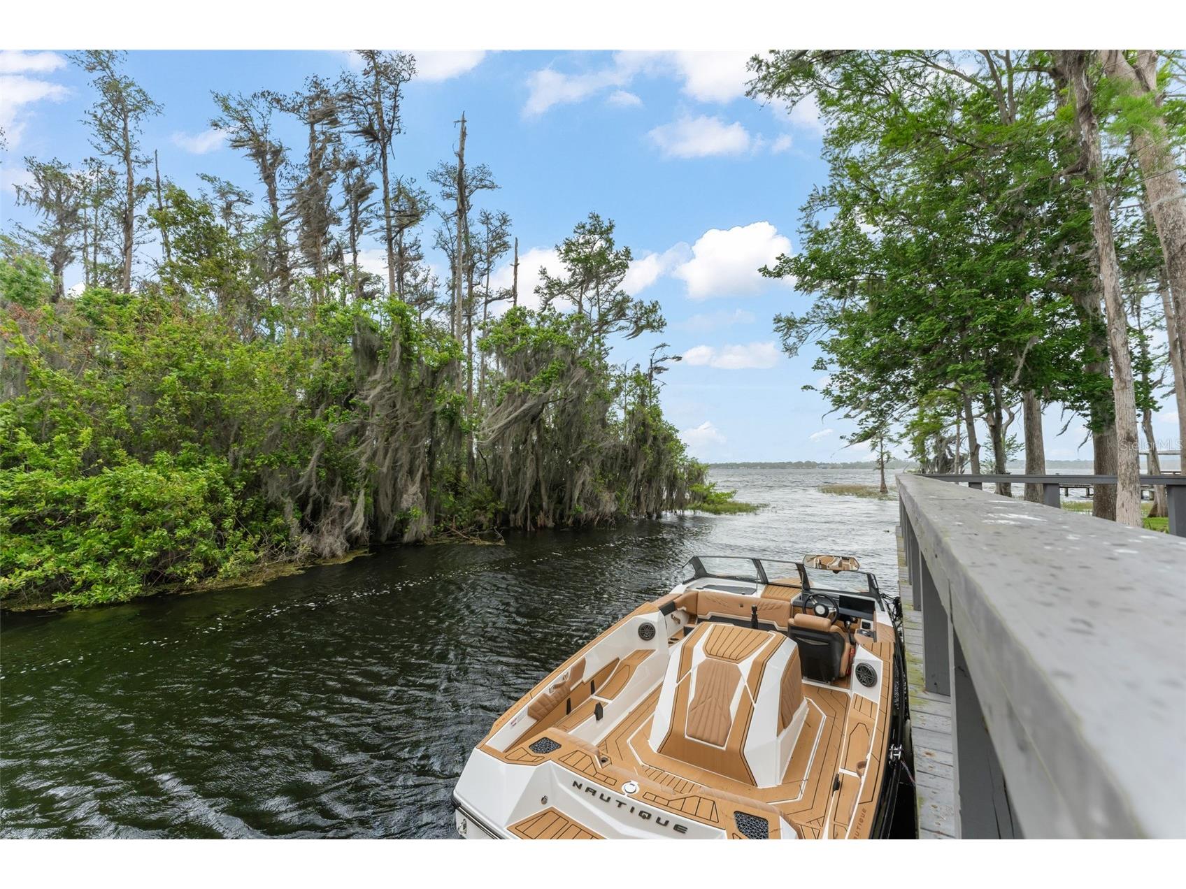 10400 Lake Cottage Lane Orlando FL 32836 - LAKE SHEEN BUTLER CHAIN O6396743 image72