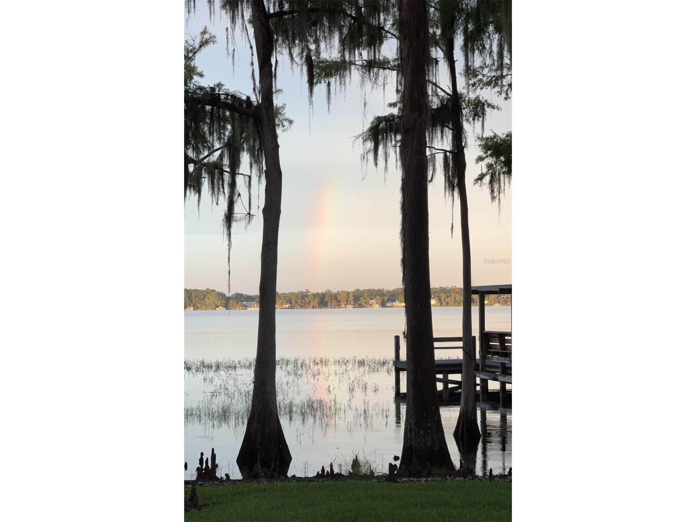 10400 Lake Cottage Lane Orlando FL 32836 - LAKE SHEEN BUTLER CHAIN O6396743 image77