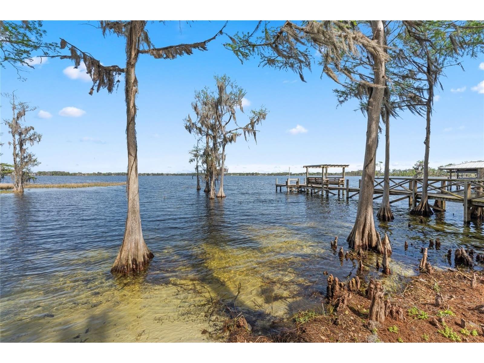 10400 Lake Cottage Lane Orlando FL 32836 - LAKE SHEEN BUTLER CHAIN O6396743 image91