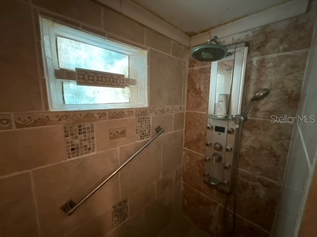 10401 Alice M Court Port Richey FL 34668 A4661754 image21