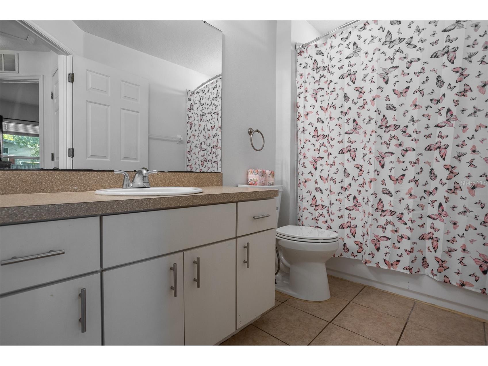 10401 Lakeside Vista Drive Riverview FL 33569 TB8499084 image18