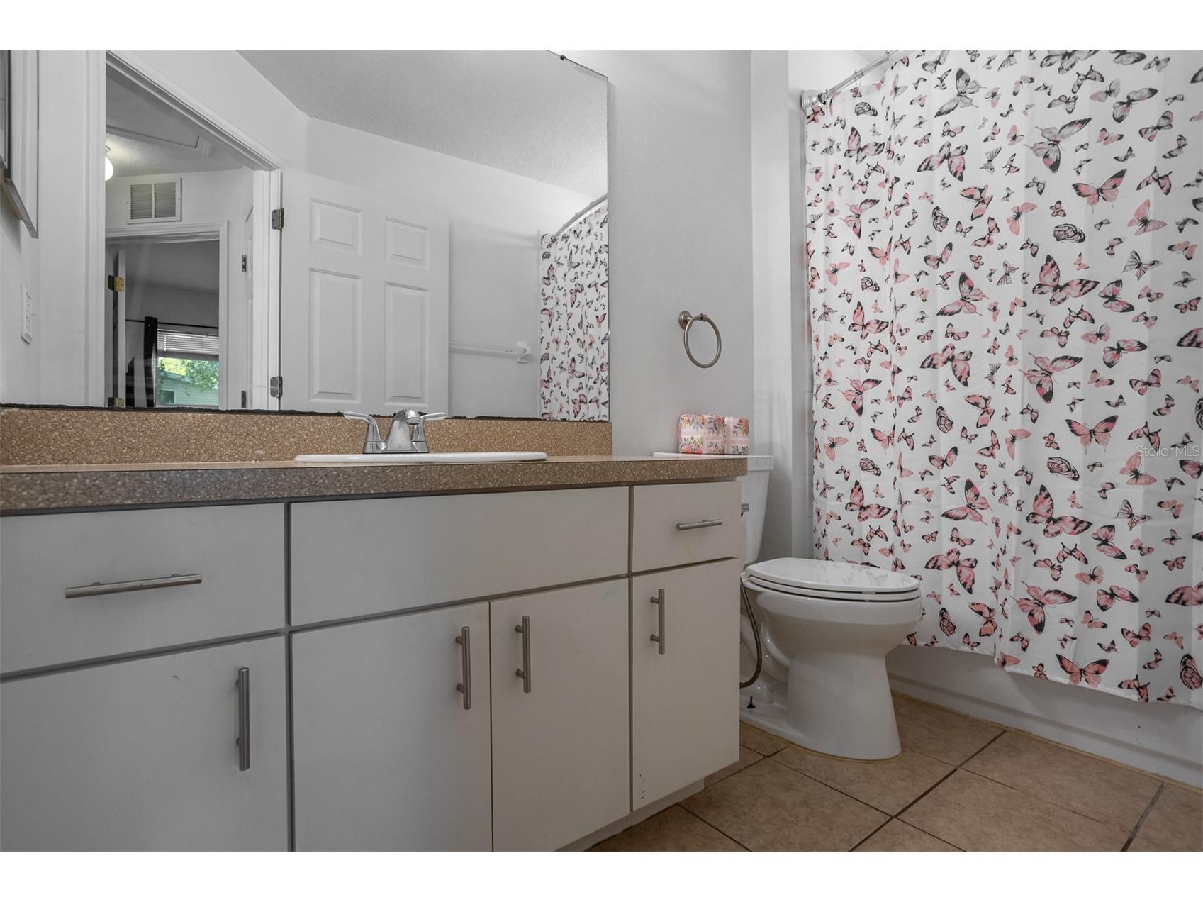 10401 Lakeside Vista Drive Riverview FL 33569 TB8499084 image19