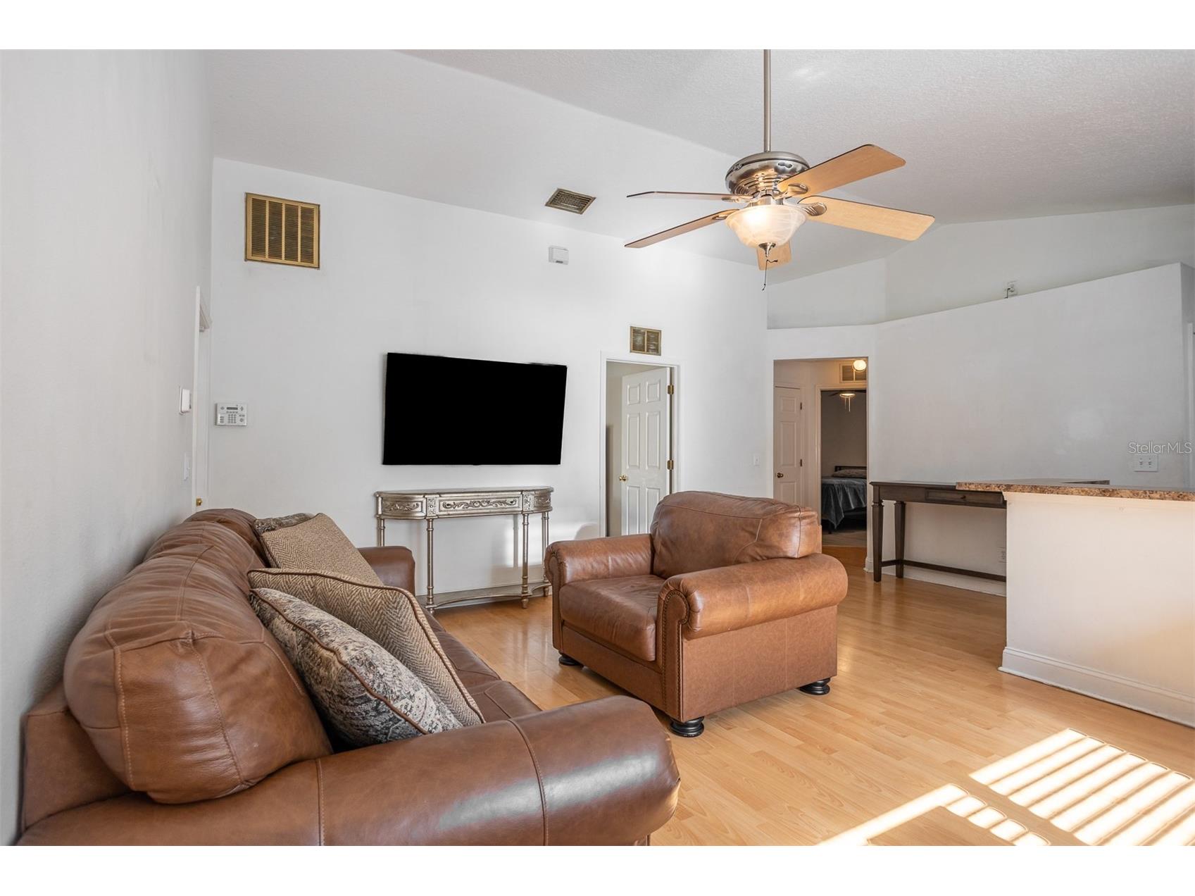 10401 Lakeside Vista Drive Riverview FL 33569 TB8499084 image2