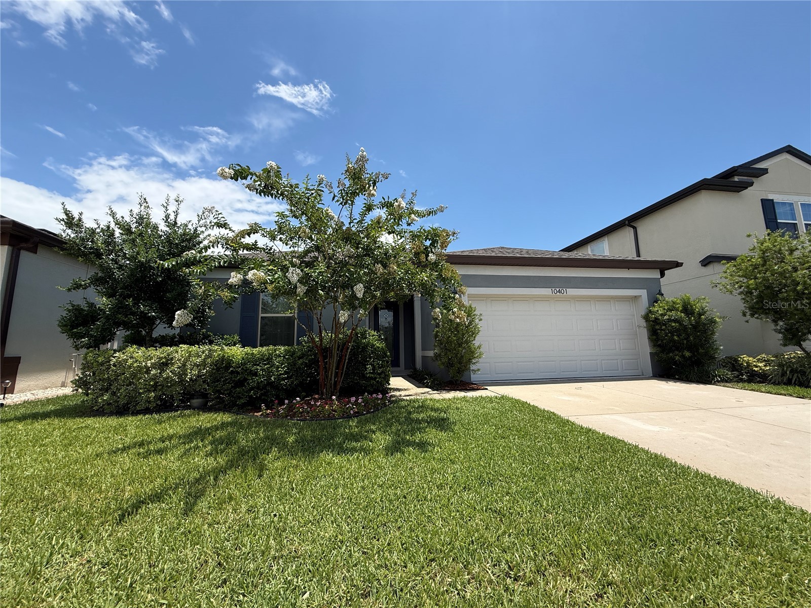 10401 Malvasia Avenue Riverview FL 33578 O6400493 image1