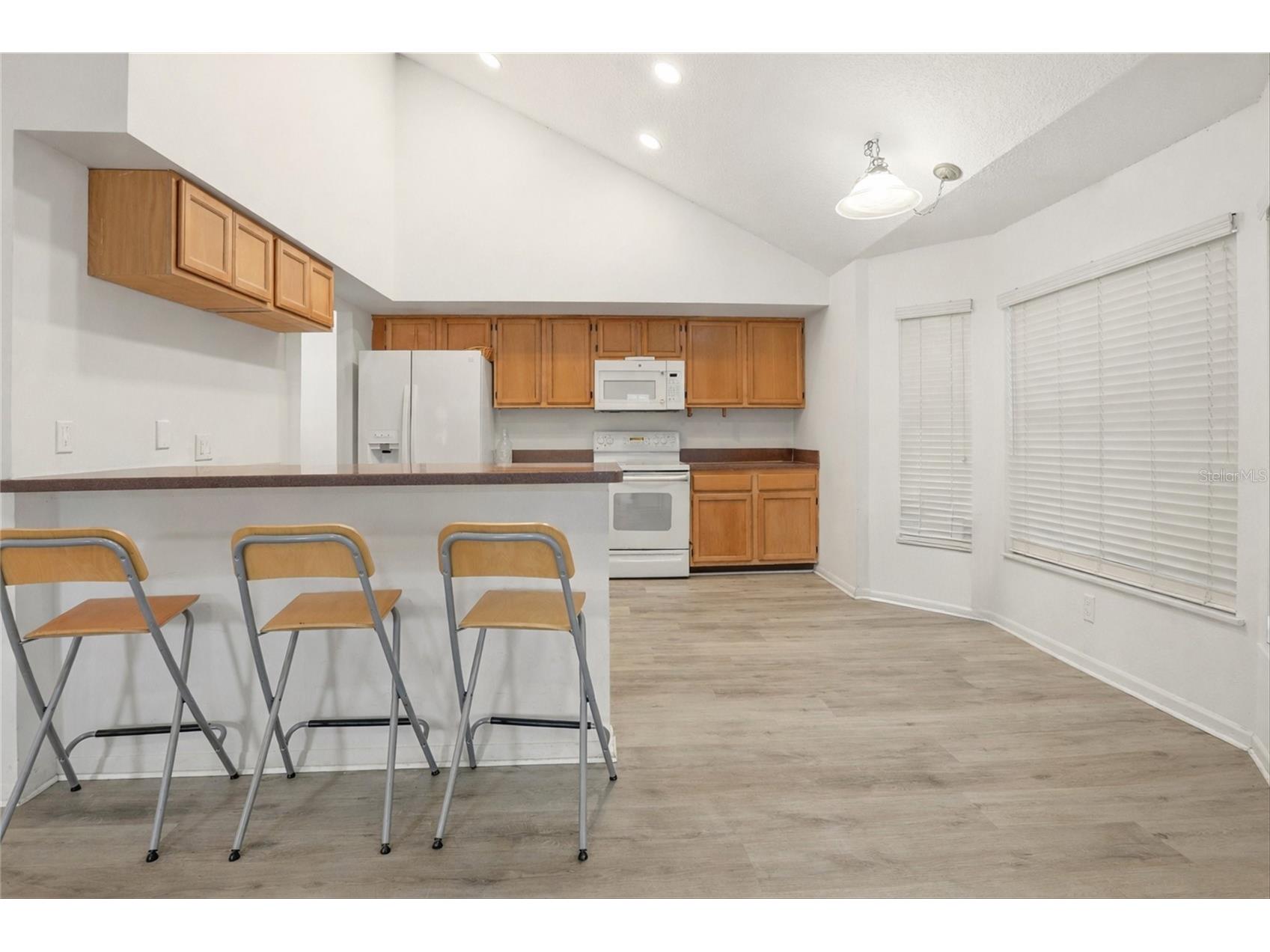 10402 Ashley Oaks Drive Riverview FL 33578 TB8468059 image11