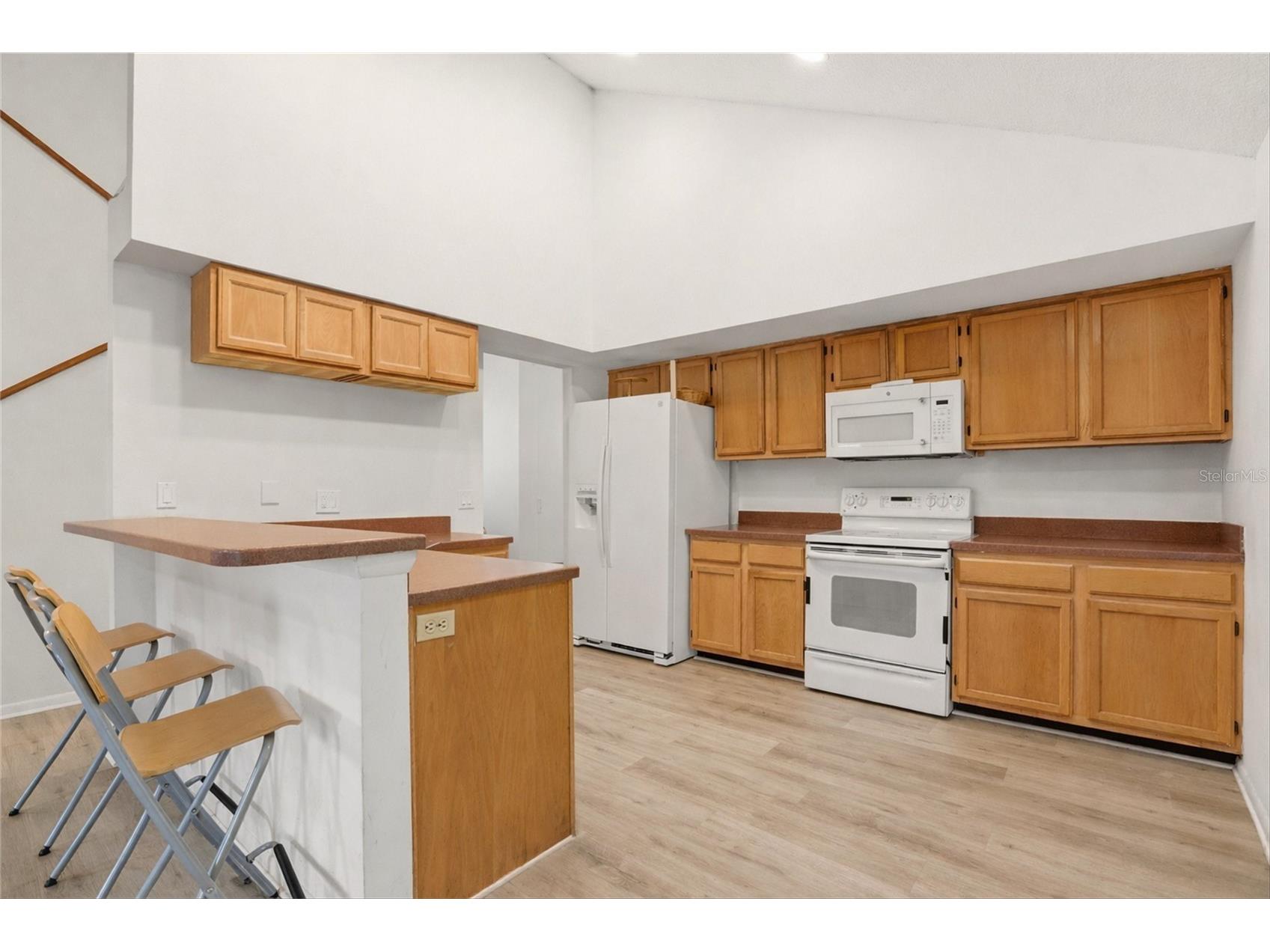 10402 Ashley Oaks Drive Riverview FL 33578 TB8468059 image13