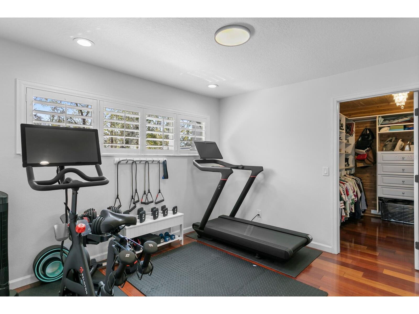 10402 Oakbrook Drive Tampa FL 33618 TB8473311 image55