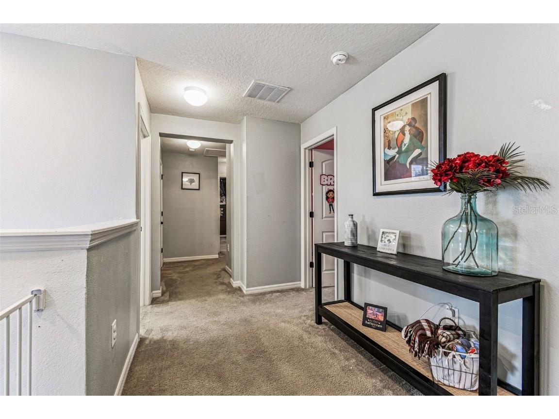 10403 Laguna Plains Drive Riverview FL 33578 TB8457887 image47