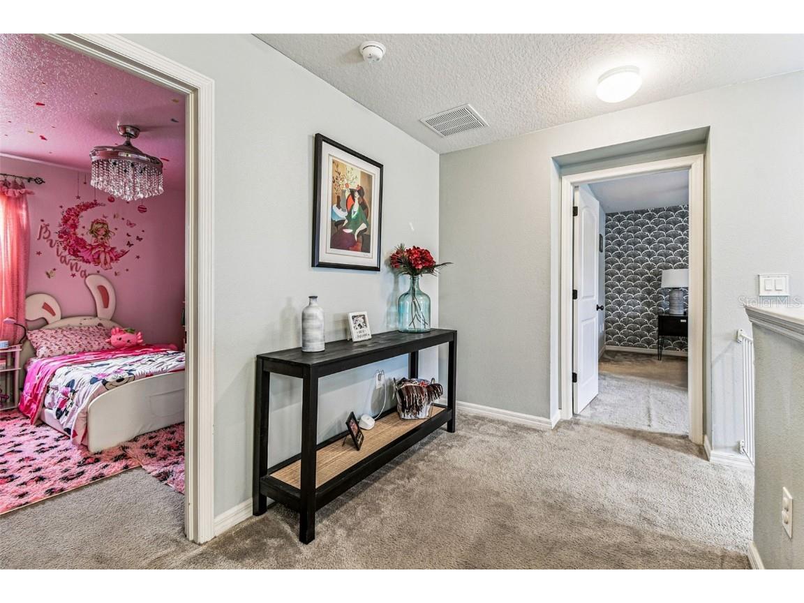 10403 Laguna Plains Drive Riverview FL 33578 TB8457887 image48