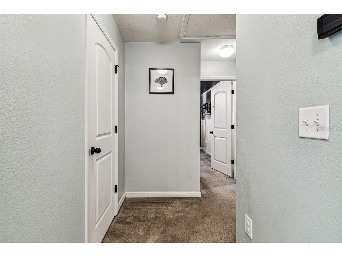 10403 Laguna Plains Drive Riverview FL 33578 TB8457887 image63