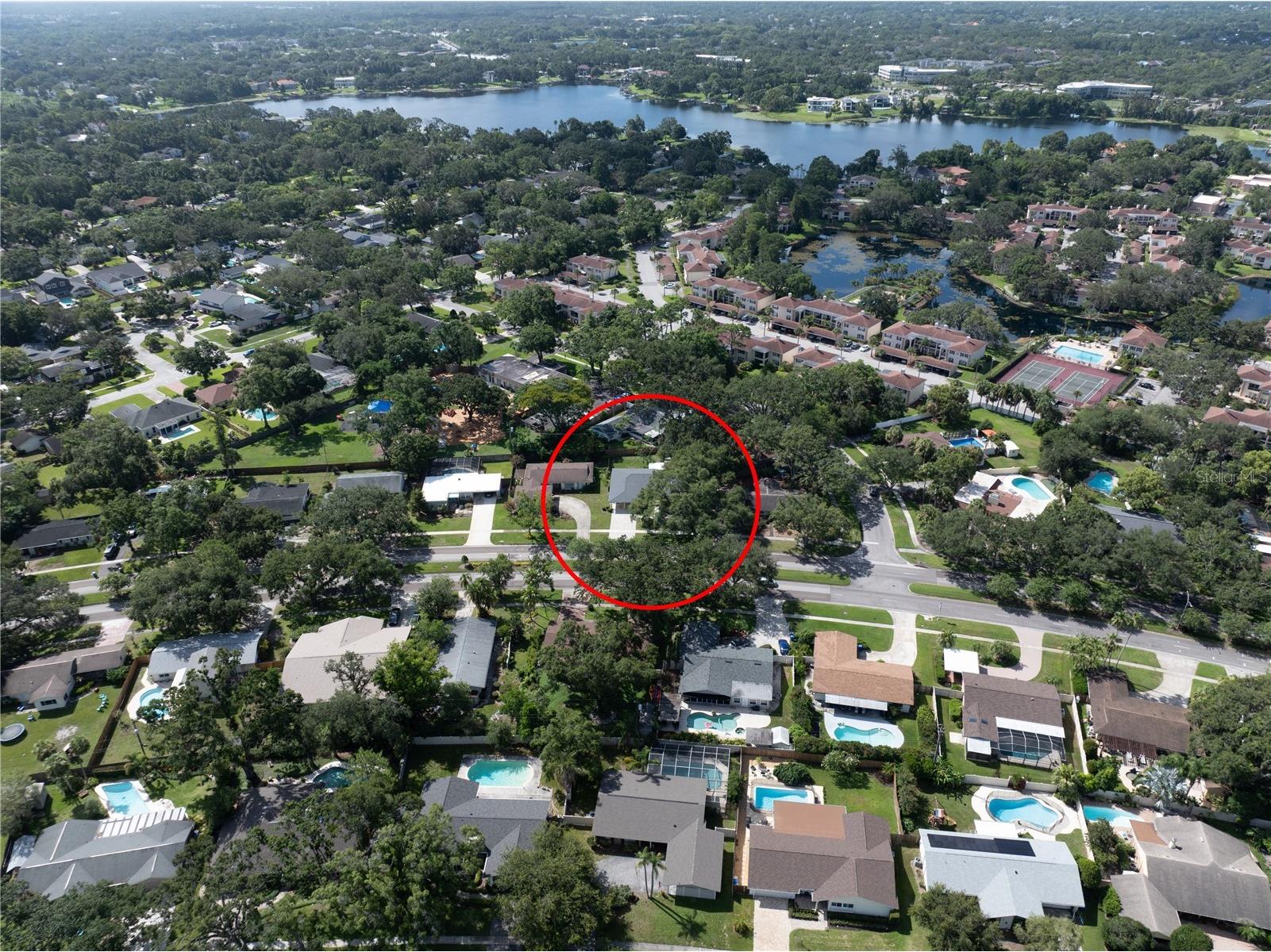 10403 Lake Carroll Way Tampa FL 33618 O6399632 image34