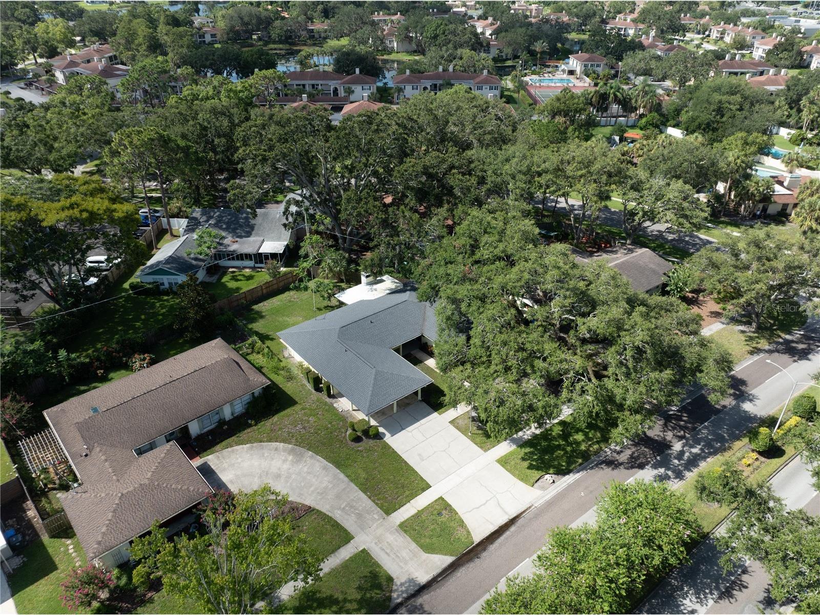 10403 Lake Carroll Way Tampa FL 33618 O6399632 image35