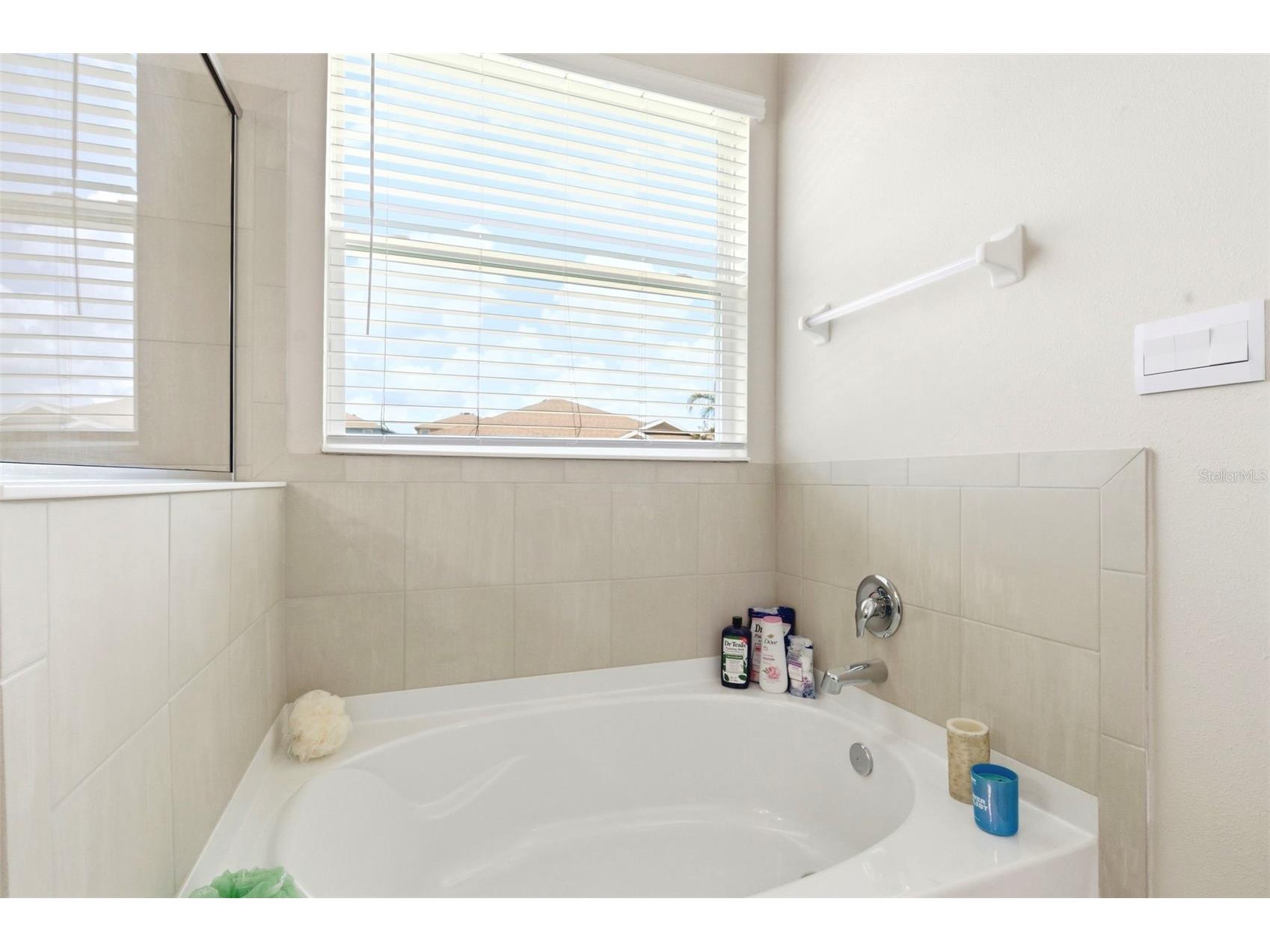 10403 Laxer Cay Loop San Antonio FL 33576 TB8510498 image27
