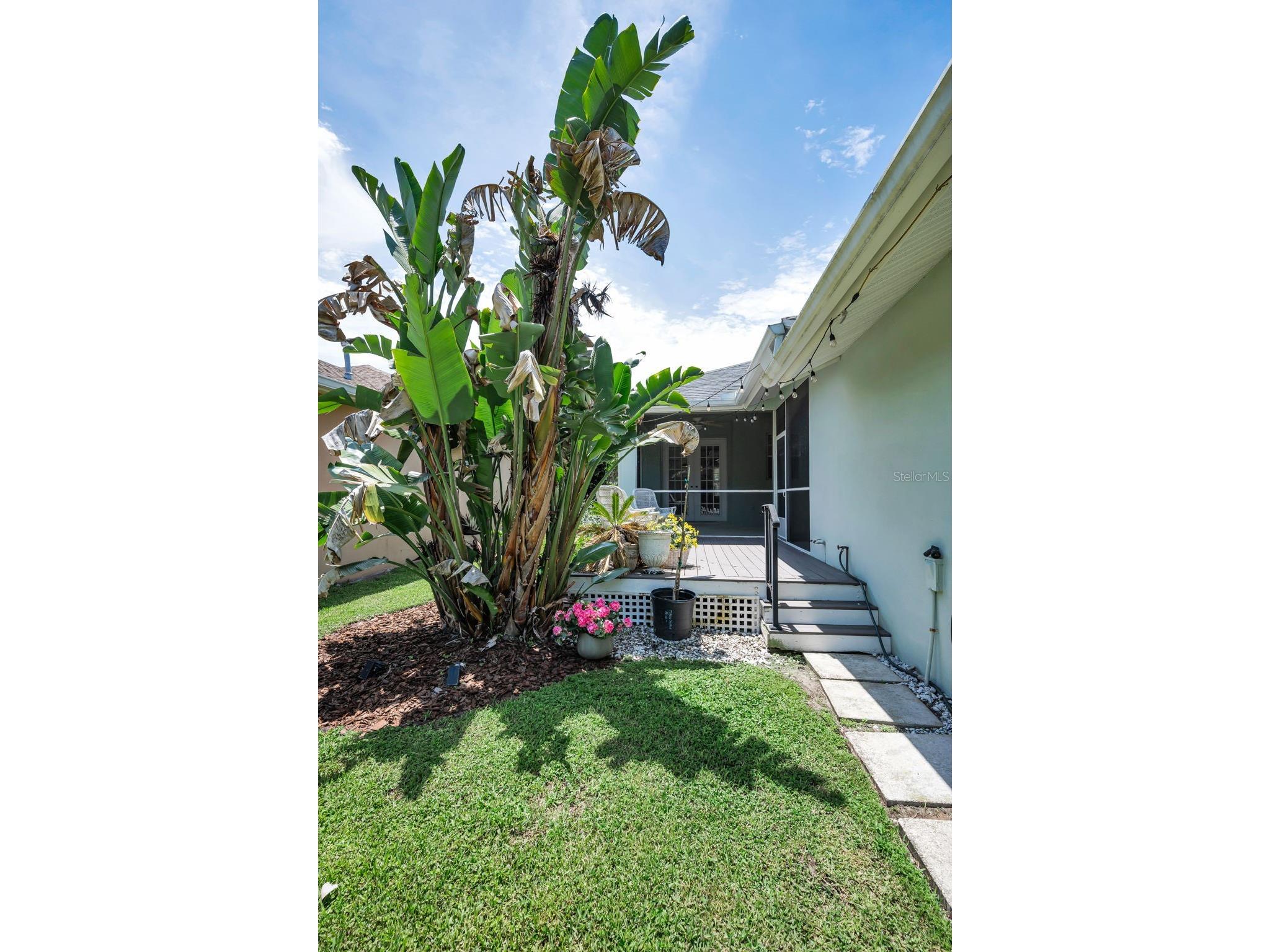 10403 Micanopy Street New Port Richey FL 34655 TB8517811 image48