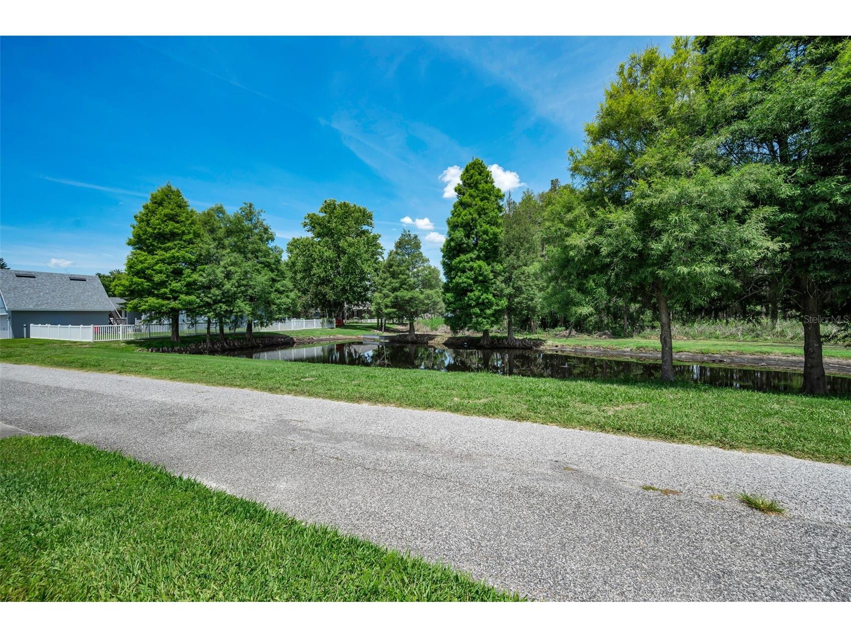 10403 Micanopy Street New Port Richey FL 34655 TB8517811 image51