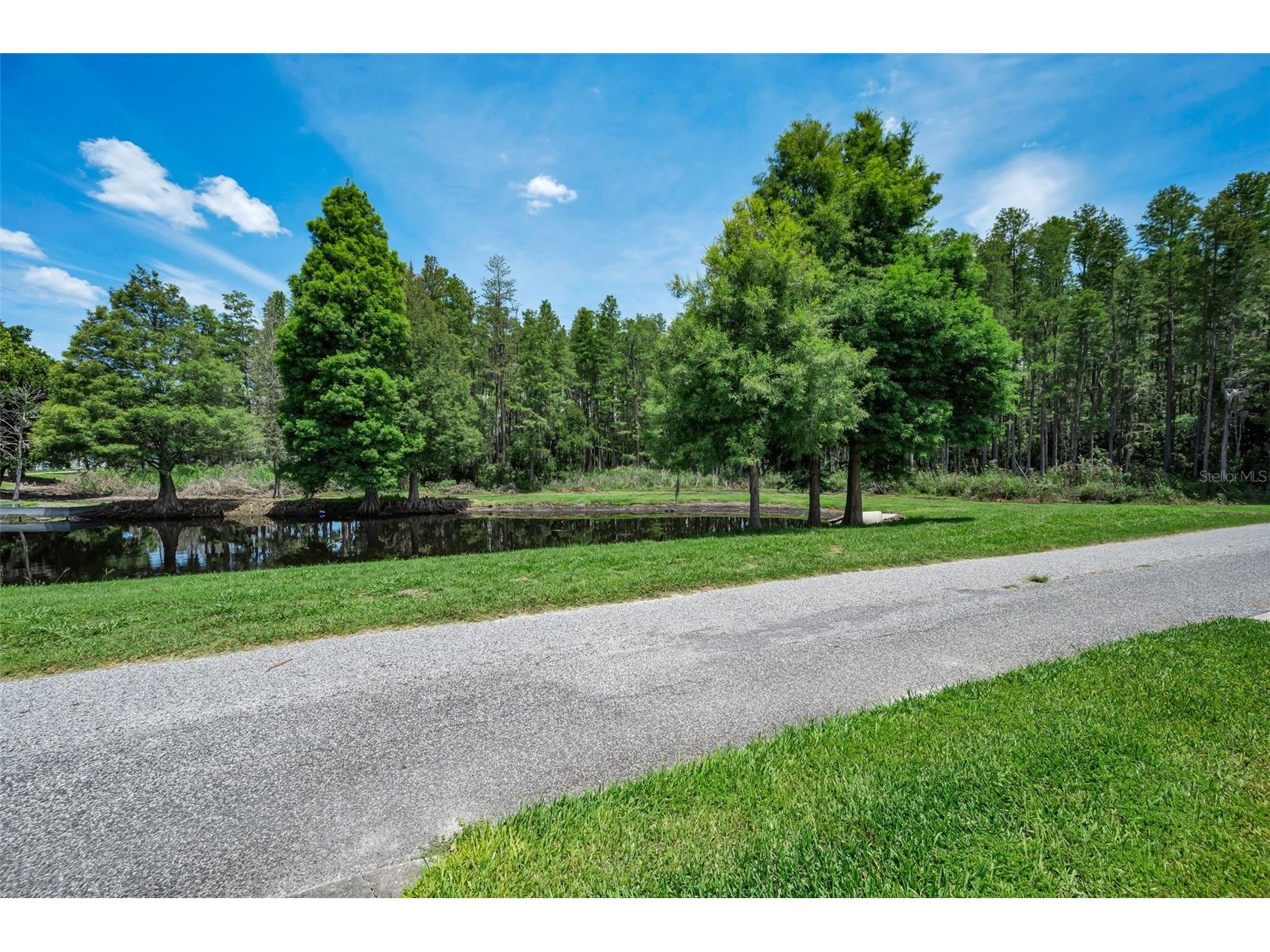 10403 Micanopy Street New Port Richey FL 34655 TB8517811 image53