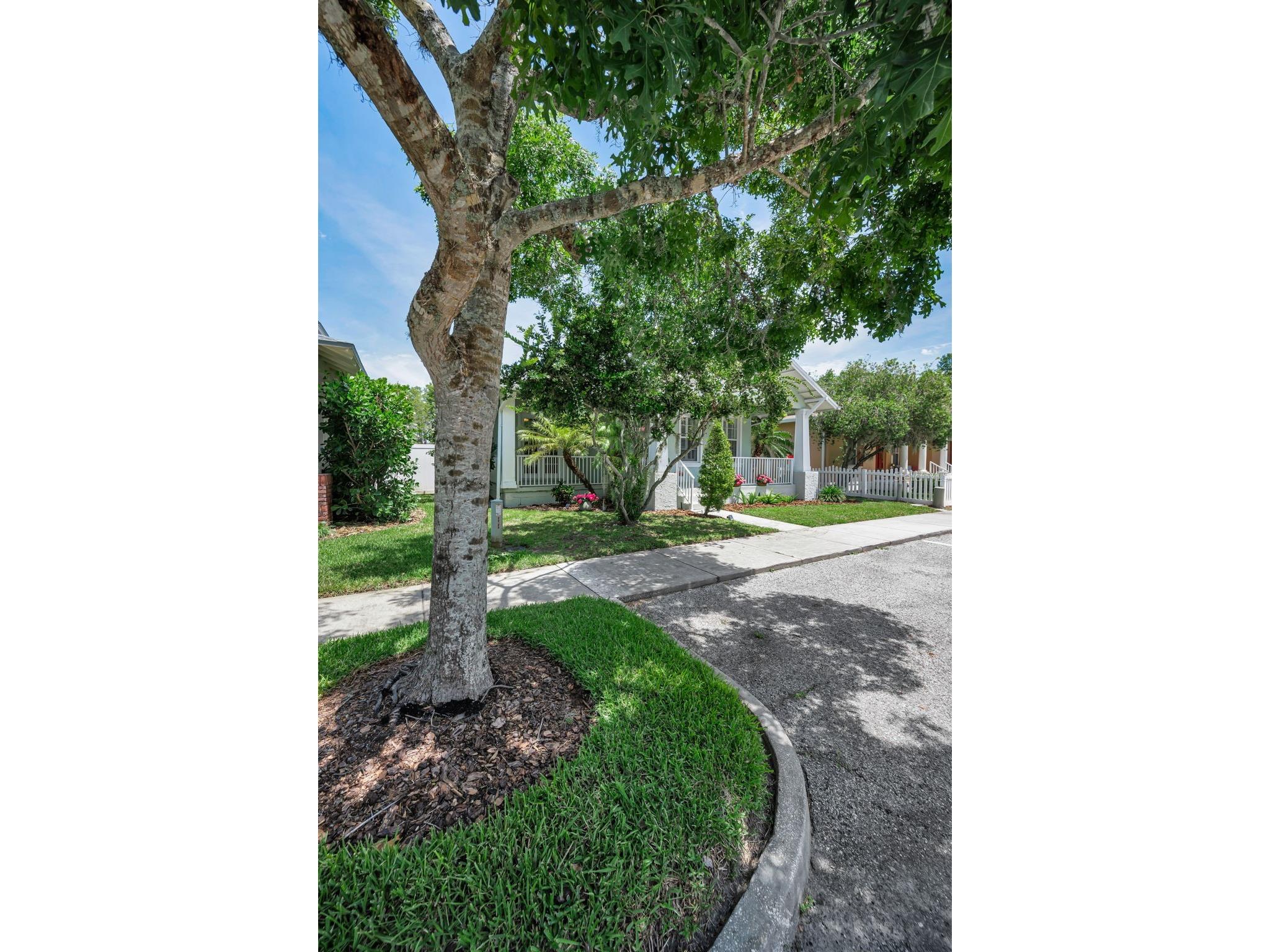 10403 Micanopy Street New Port Richey FL 34655 TB8517811 image7