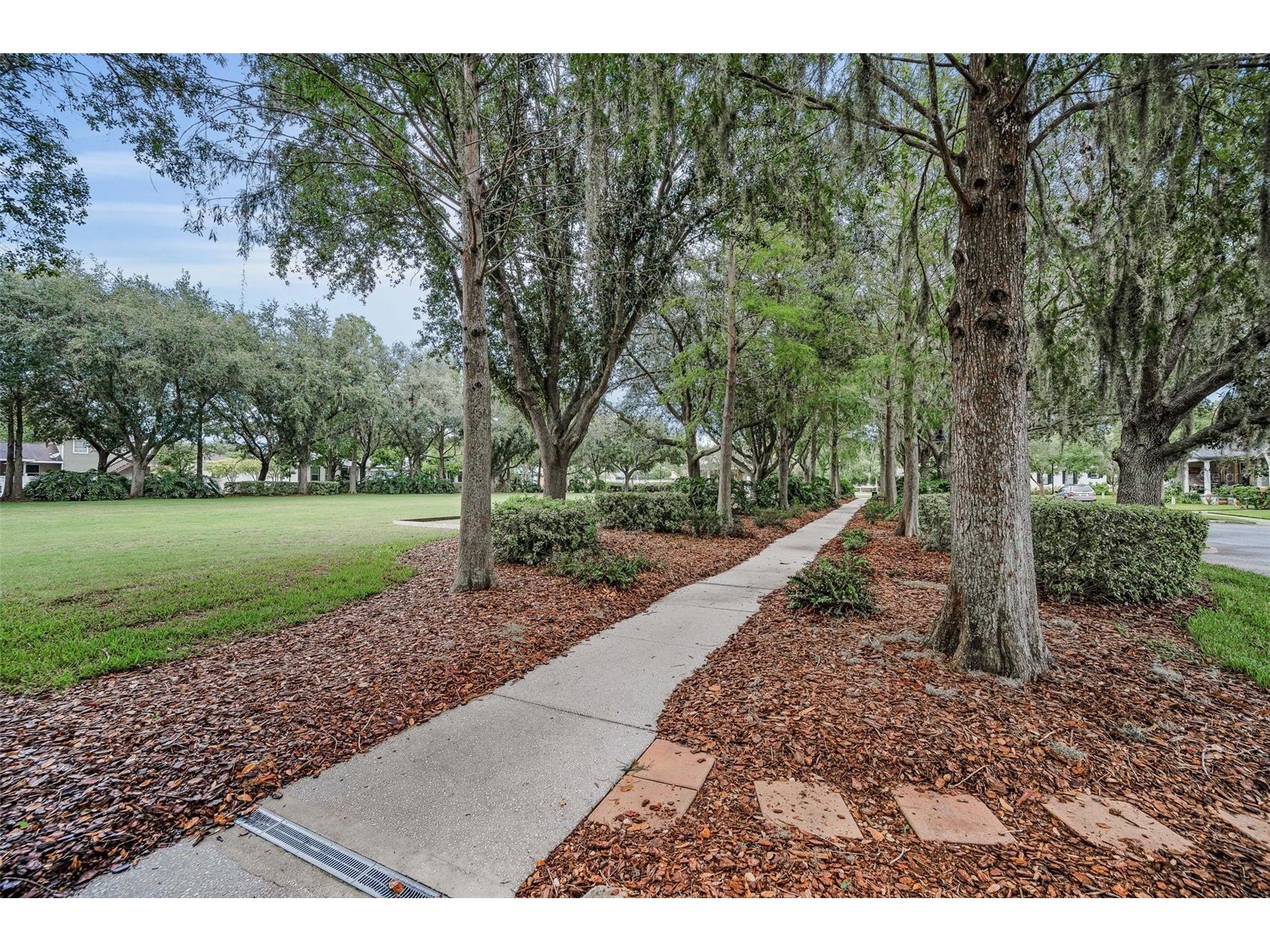10403 Micanopy Street New Port Richey FL 34655 TB8517811 image74