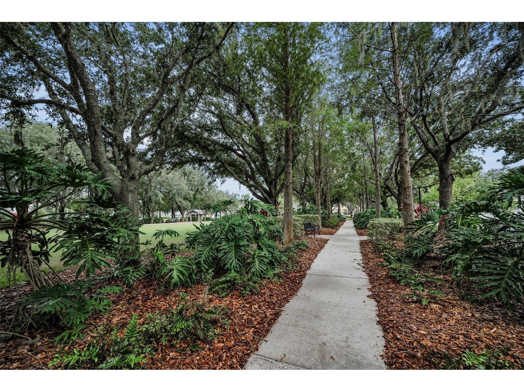 10403 Micanopy Street New Port Richey FL 34655 TB8517811 image79