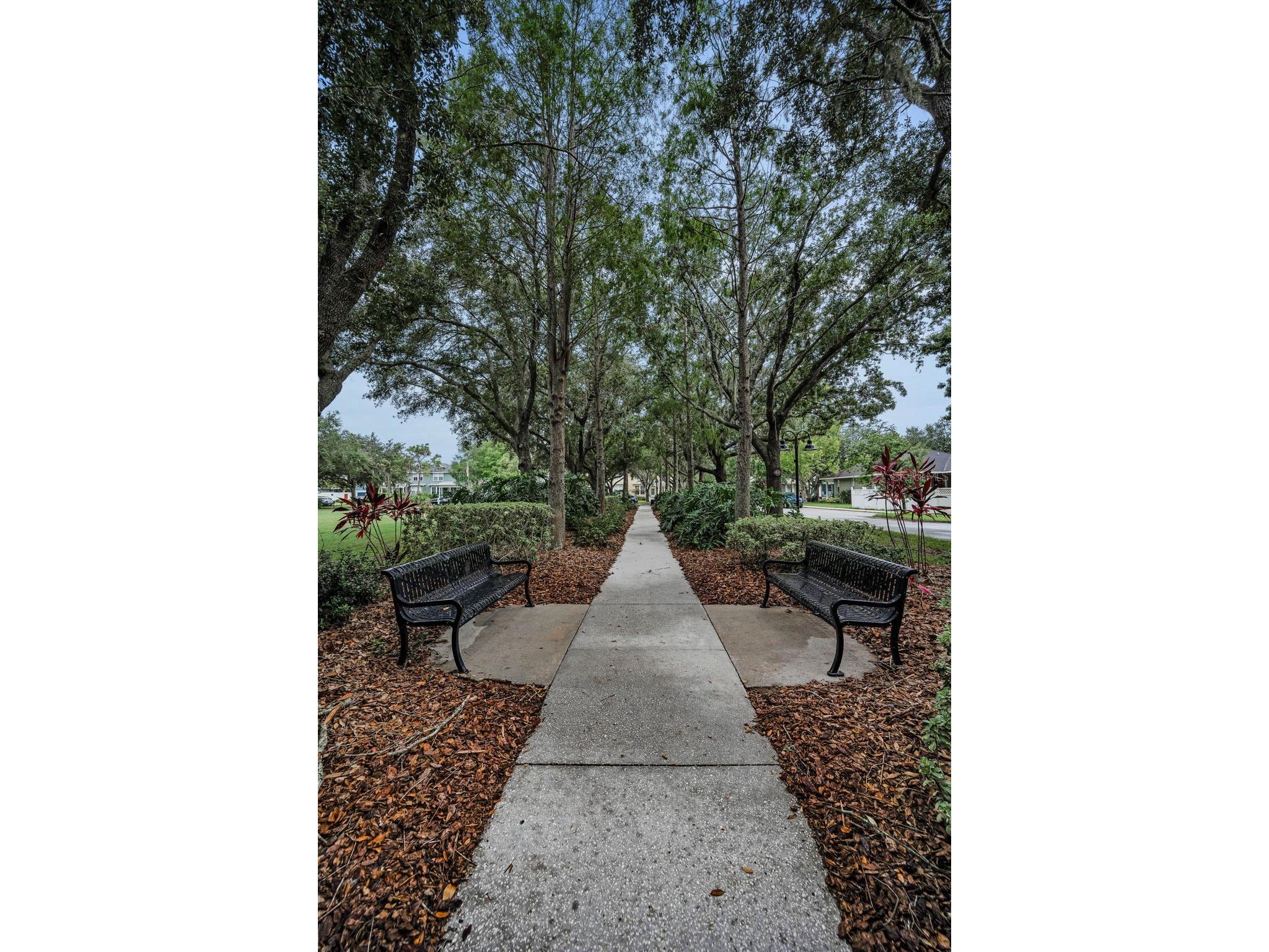 10403 Micanopy Street New Port Richey FL 34655 TB8517811 image80