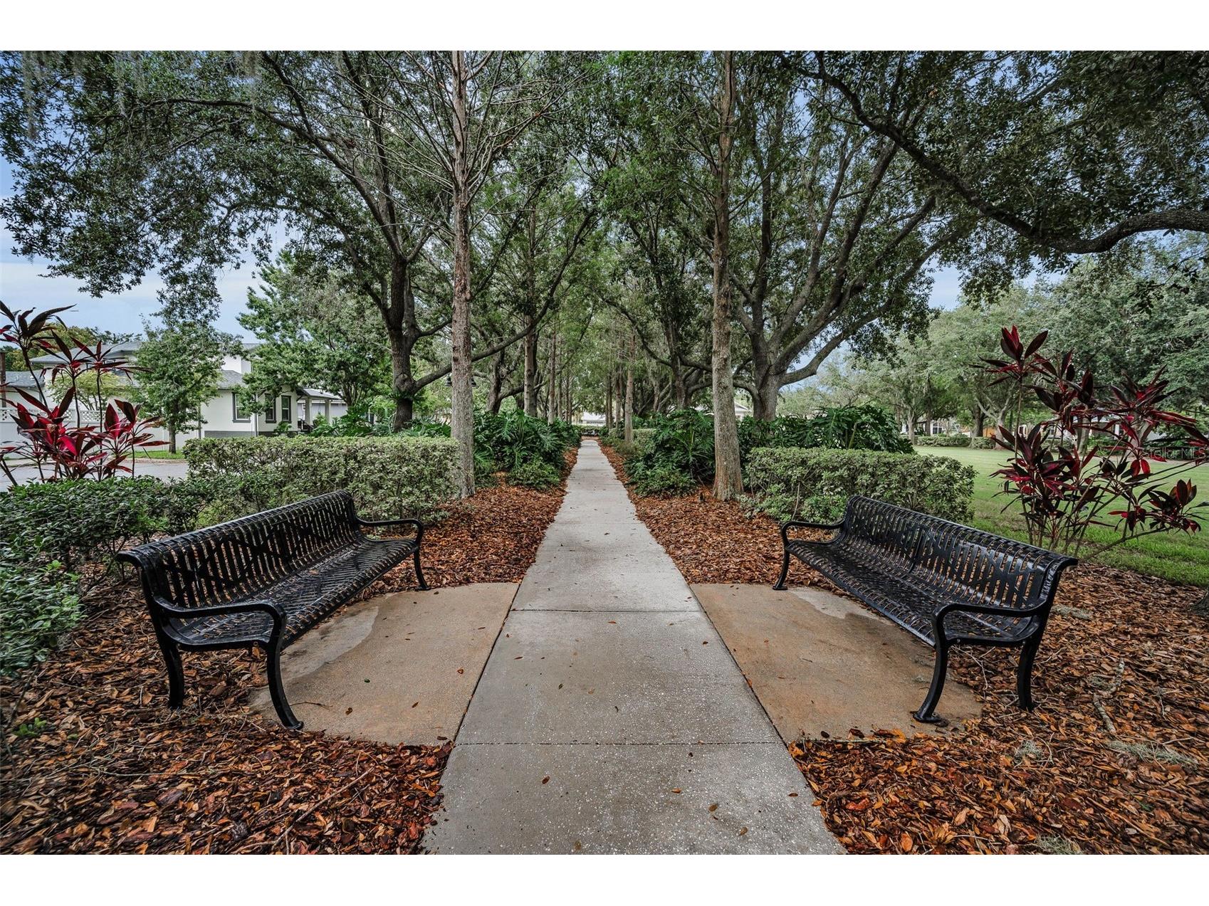 10403 Micanopy Street New Port Richey FL 34655 TB8517811 image81