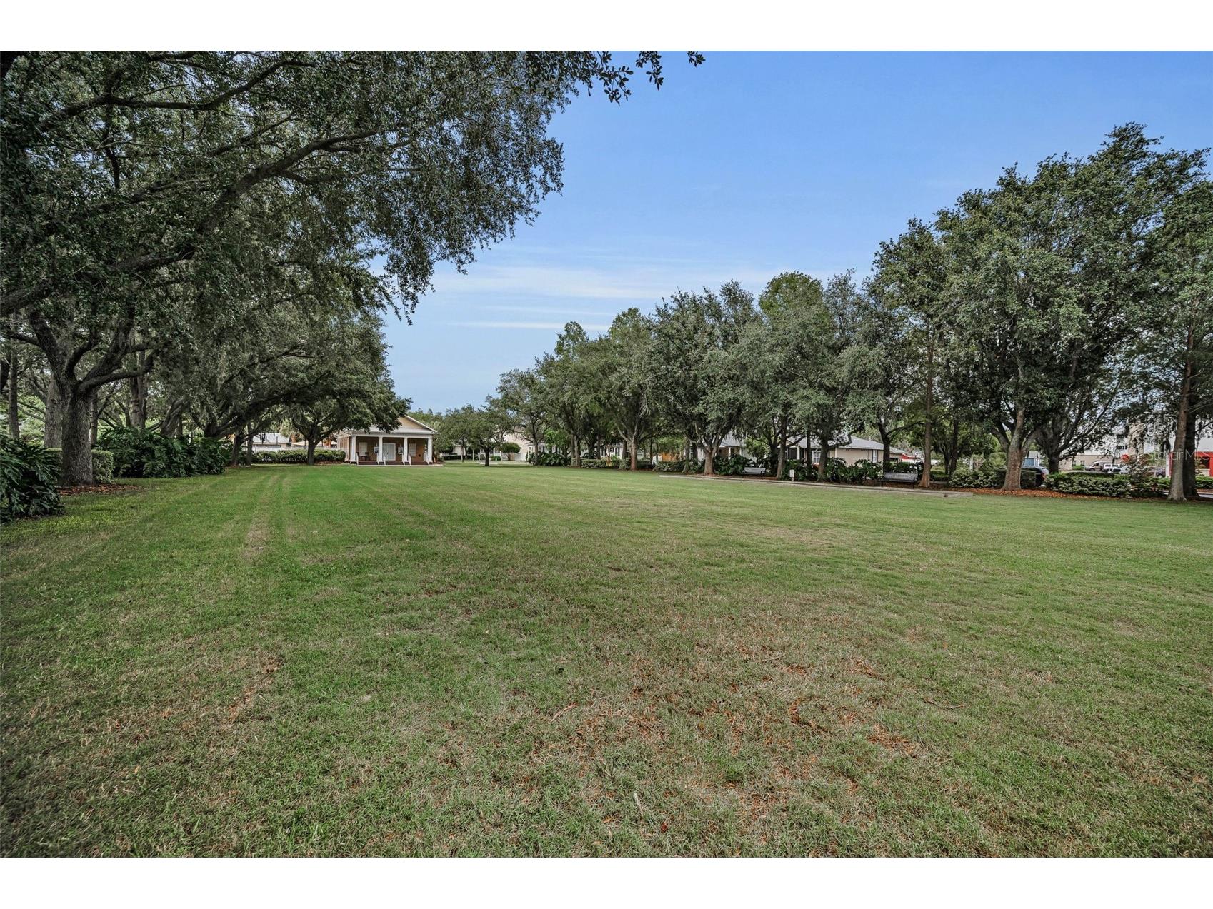10403 Micanopy Street New Port Richey FL 34655 TB8517811 image82