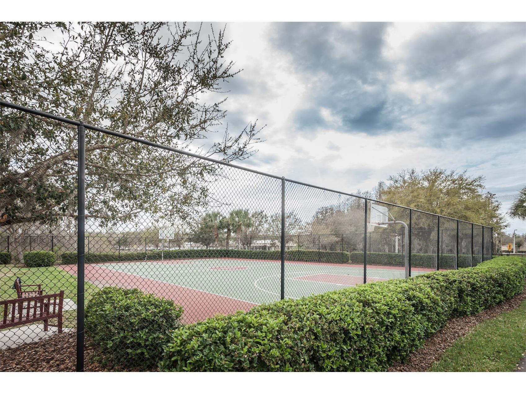 10403 Micanopy Street New Port Richey FL 34655 TB8517811 image94