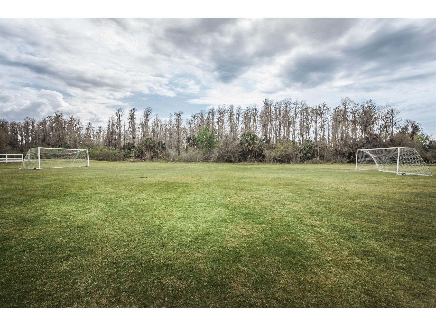 10403 Micanopy Street New Port Richey FL 34655 TB8517811 image95