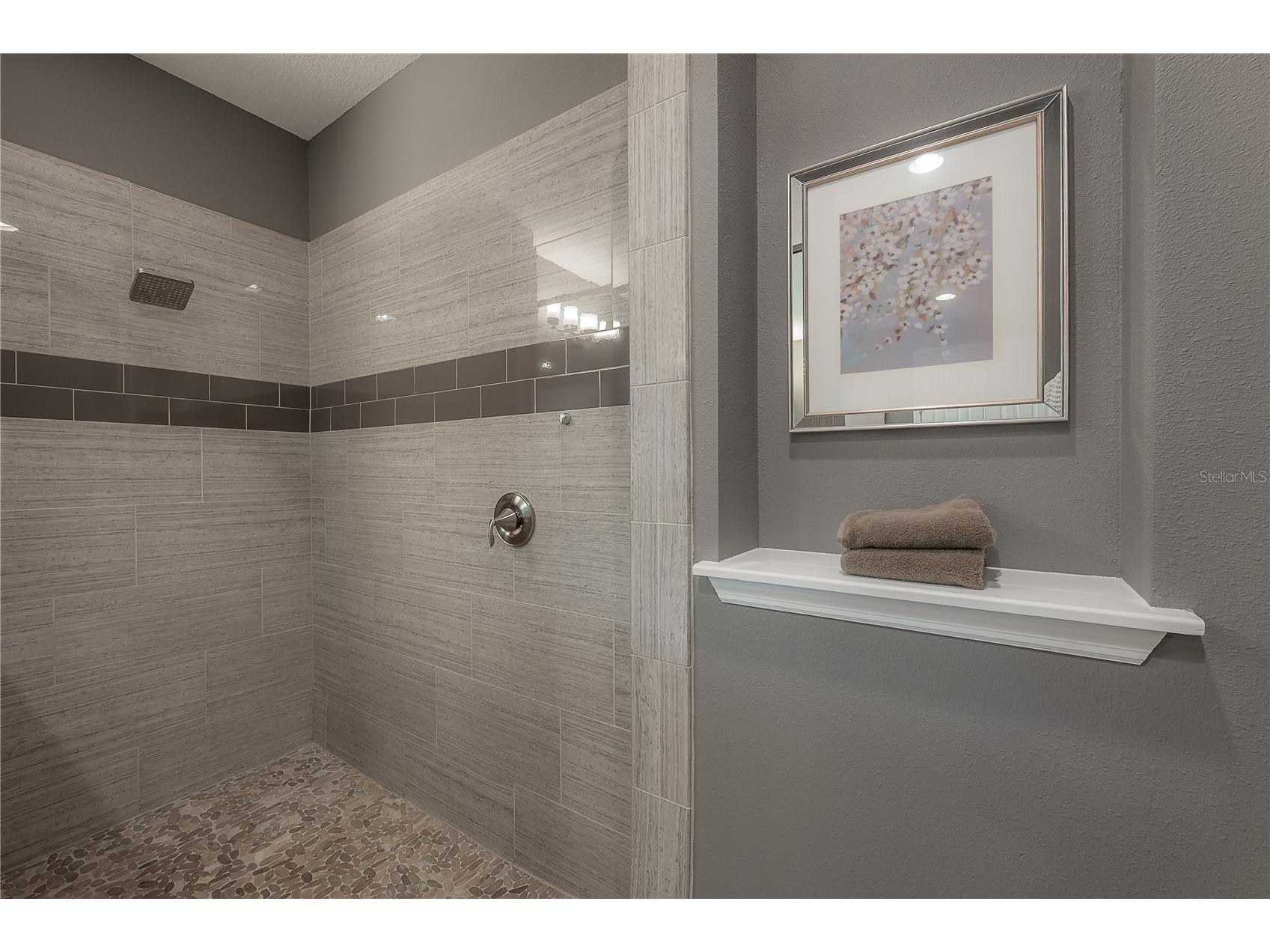 10404 Alcon Blue Drive Riverview FL 33578 TB8521728 image36