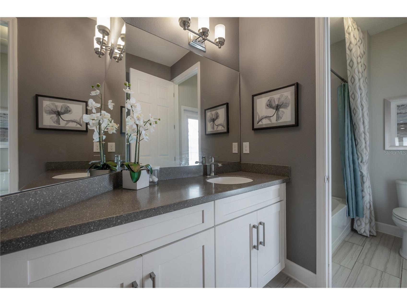10404 Alcon Blue Drive Riverview FL 33578 TB8521728 image41