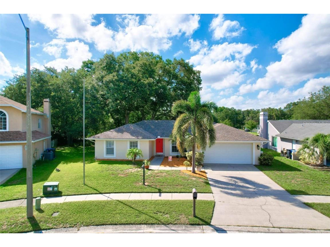 10404 Ashley Oaks Drive Riverview FL 33578 T3532661 image1