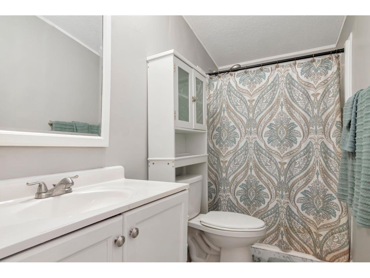10404 Hawk Court Riverview FL 33578 TB8462728 image26
