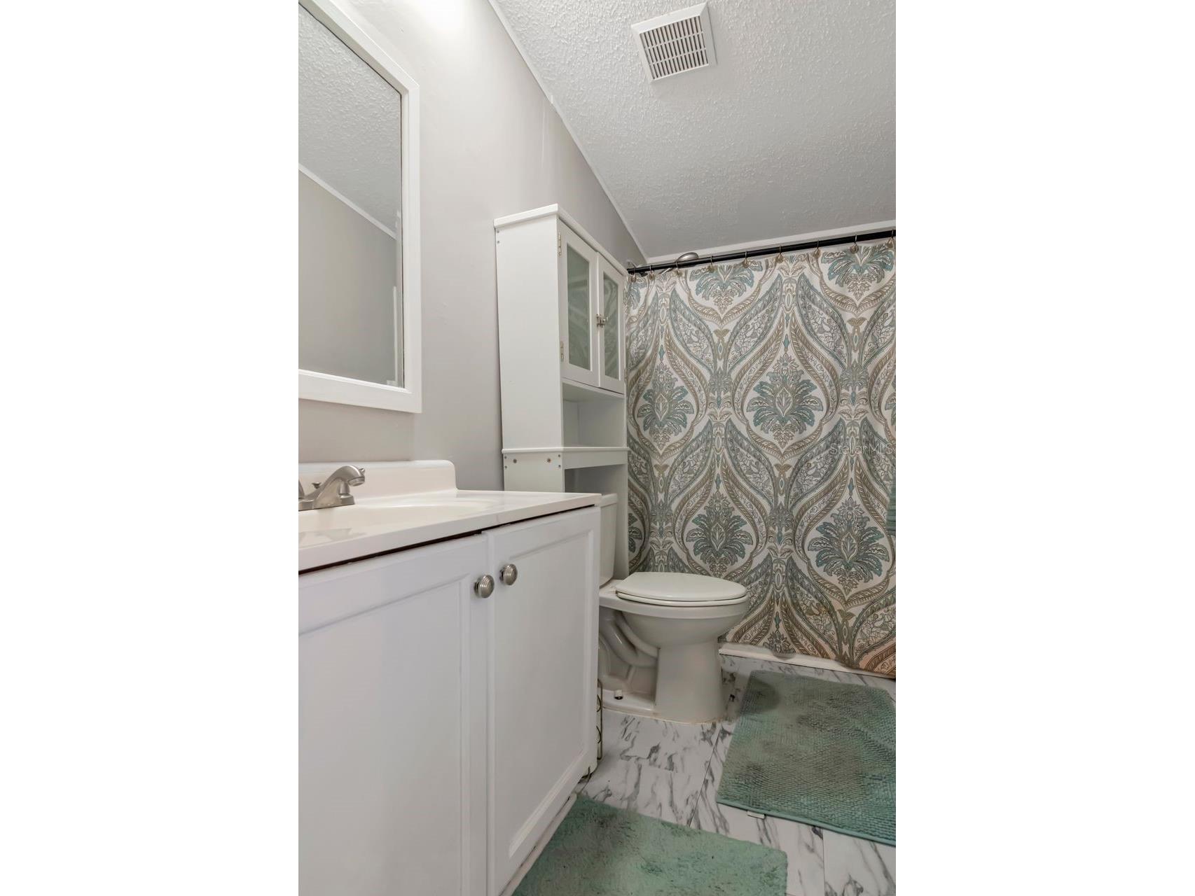 10404 Hawk Court Riverview FL 33578 TB8462728 image27