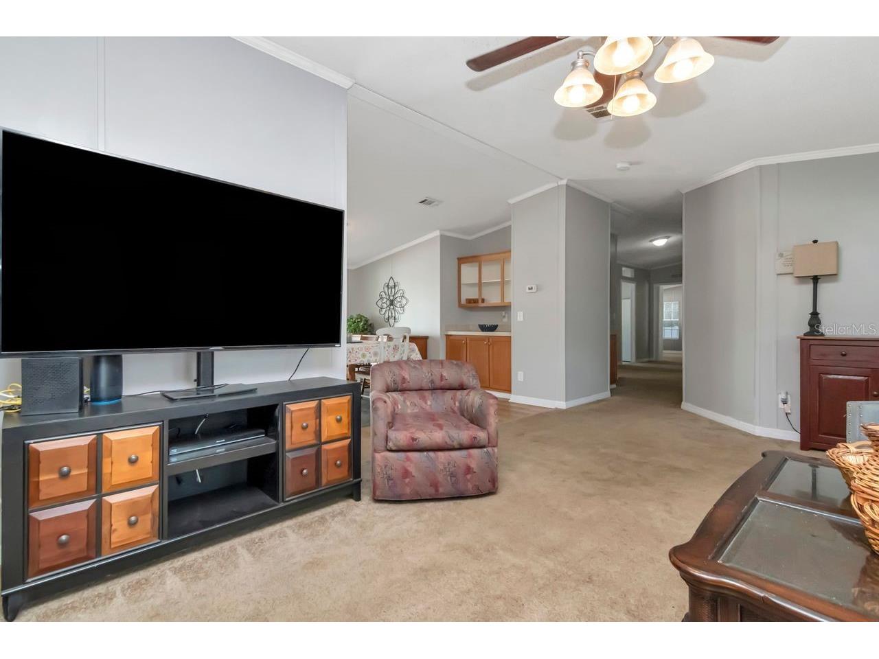10404 Hawk Court Riverview FL 33578 TB8462728 image9
